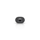 Unifi Protect Viewport