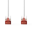 afbeelding_2025-03-03_113613353.png