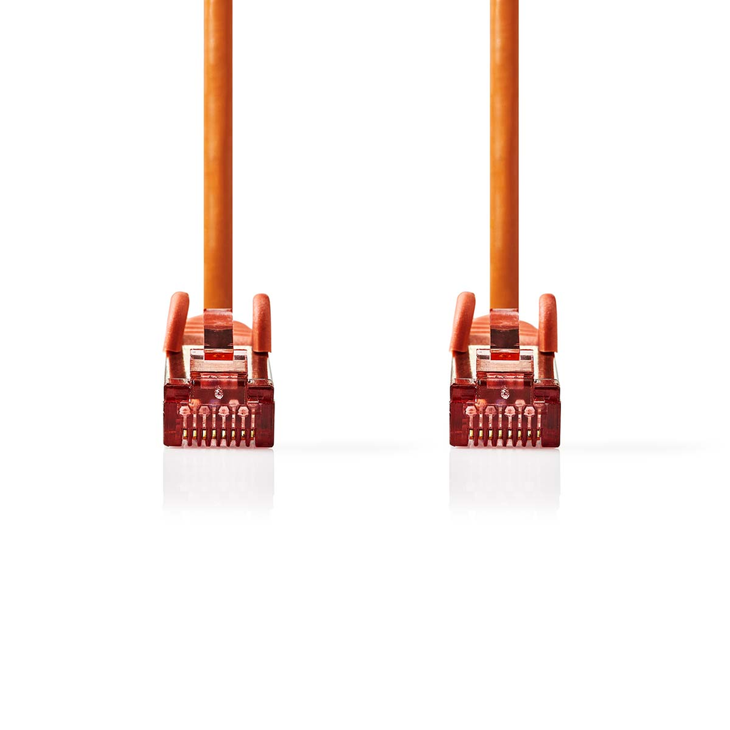 afbeelding_2025-03-03_125011684.png
