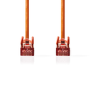 afbeelding_2025-03-03_125011684.png