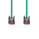afbeelding_2025-03-03_131538067.png